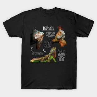 Animal Facts- Iguana T-Shirt